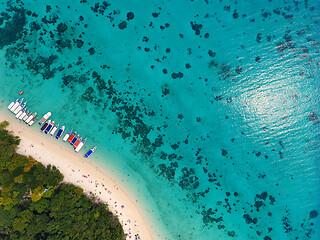 Image showing Beach corals and sea on tropical island