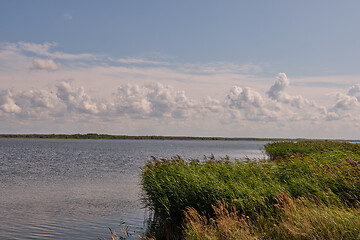 Image showing Peaceful Liepaja Lake in summer