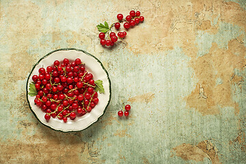 Image showing Red currant berry