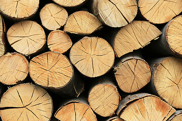 Image showing Firewood pile stacked chopped wood trunks