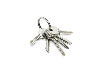 Image showing Silver keys on the ring on white background