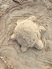 Image showing a turtle made of sand