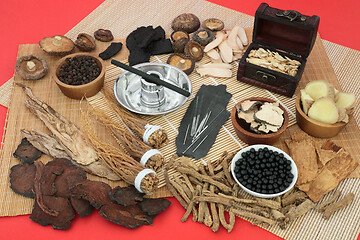 Image showing Traditional Chinese Herbal Medicine  