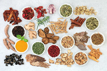 Image showing Super Food Herbal Medicine