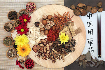 Image showing Traditional Chinese Herbs used in Herbal  Medicine