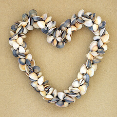 Image showing Heart Shaped Clam Shell Wreath