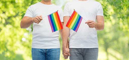 Image showing male couple with gay pride flags holding hands