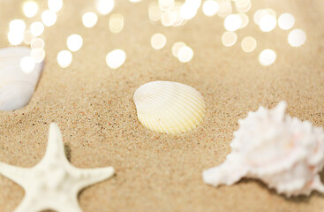 Image showing seashells on beach sand