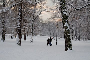 Image showing Winter in the park