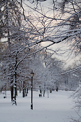 Image showing Winter in the park