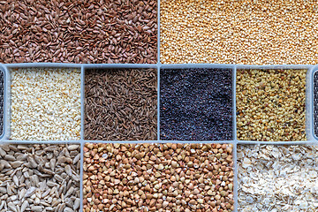 Image showing Grains Seeds