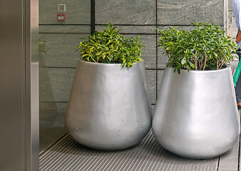 Image showing Two Silver Pots