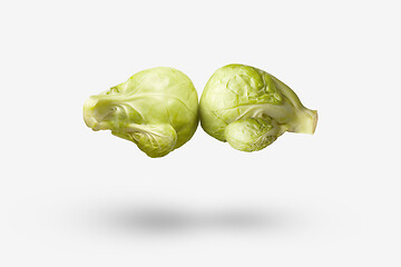 Image showing Boxing creative gloves in the shape of natural organic floating cabbages.