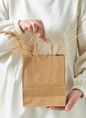 Image showing Woman\'s hand holding paper eco bag with dry natural plant twig.