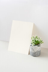 Image showing Greeting card with blooming houseplant and blank paper sheet.