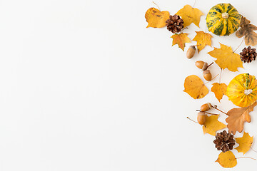 Image showing autumn leaves, chestnuts, acorns and pumpkins