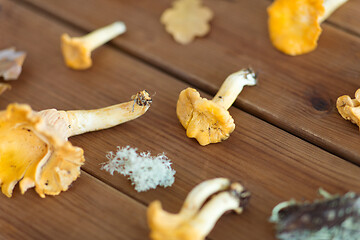 Image showing chanterelles on wooden background