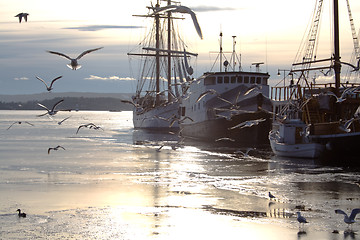 Image showing Seagulls and boats