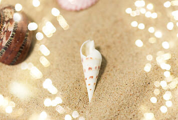 Image showing seashells on beach sand