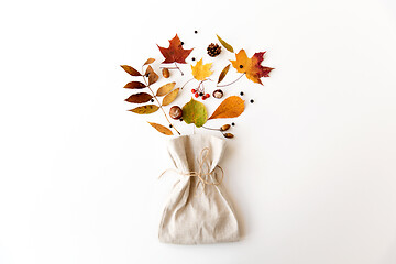 Image showing autumn leaves, chestnuts, acorns, berries and bag