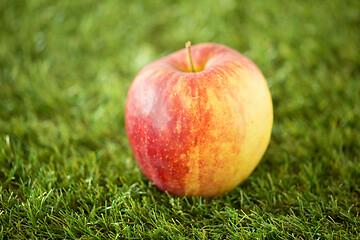 Image showing close up of ripe red apple on artificial grass