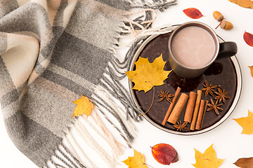 Image showing hot chocolate, autumn leaves and warm blanket