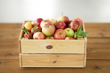 Image showing ripe apples in wooden box on table