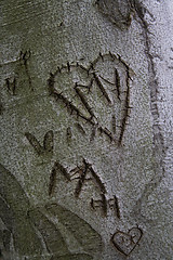 Image showing Love letter on tree trunk