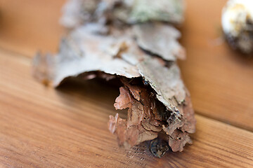 Image showing close up of pine tree bark on wooden background