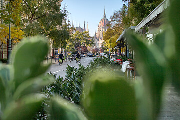 Image showing Urban view through green plant to Hungarian paliament building.