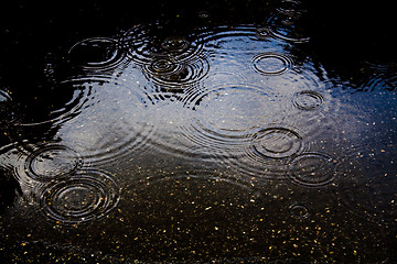 Image showing Raindrops in puddle