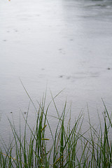 Image showing Raindrops on water II