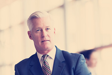 Image showing portrait of handsome senior business man at modern office