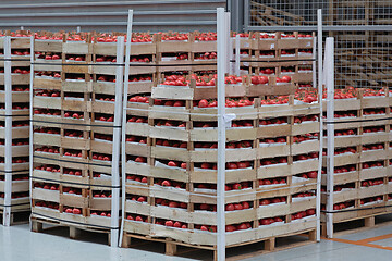 Image showing Tomatoes Pallet