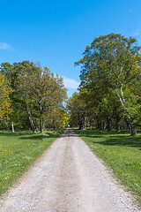 Image showing Straight gravel road in spring season