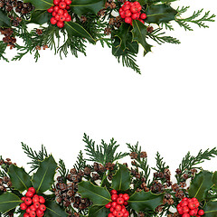 Image showing Winter Holly Ivy and Cedar Background Border