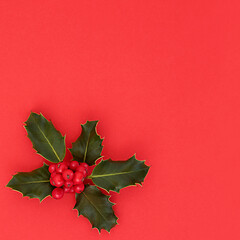 Image showing Winter and Christmas Holly with Red Berry Cluster