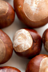 Image showing close up of horse chestnuts on white background