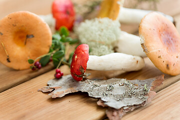 Image showing russule mushrooms on wooden background