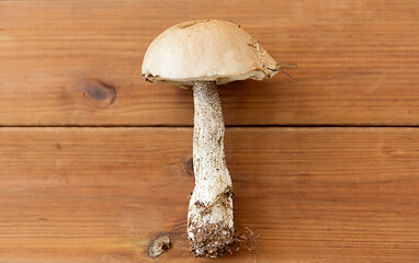 Image showing brown cap boletus mushroom on wooden background
