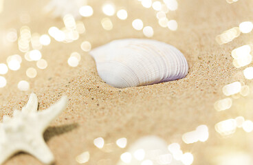 Image showing seashells on beach sand