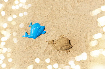 Image showing sand shape made by whale mold on summer beach