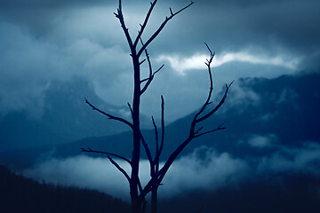 Image showing Blue Mountains after bush fires