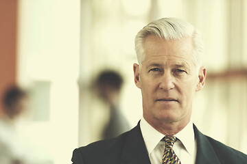 Image showing portrait of handsome senior business man at modern office