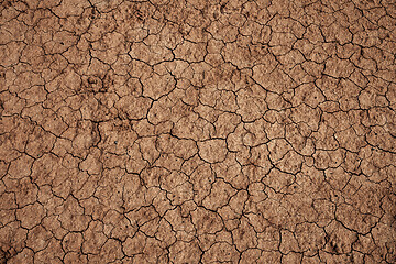 Image showing Dry cracked soil during drought 