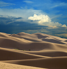 Image showing Sand dunes in desert at sunset