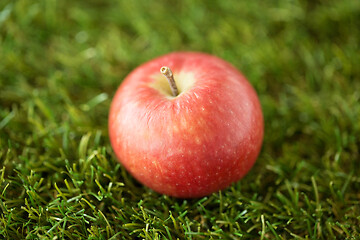 Image showing close up of ripe red apple on artificial grass