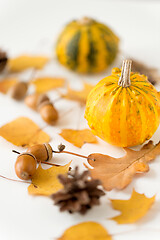 Image showing close up of pumpkin, acorns and autumn leaves