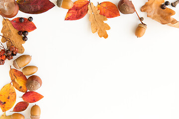 Image showing autumn leaves, chestnuts, acorns and berries frame