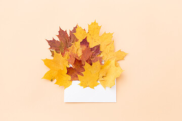 Image showing autumn maple leaves with envelope on beige